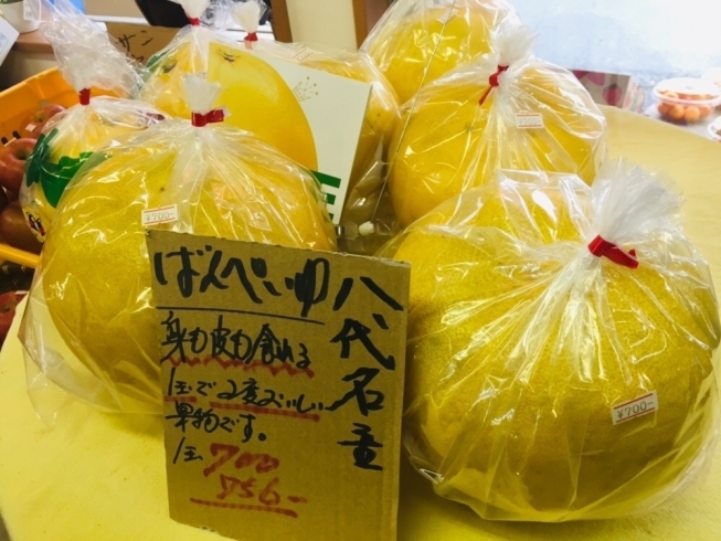 「熊本県八代特産『晩白柚（ばんぺいゆ）』【お肉・野菜・果物は清武町の黒木商店で♪】」