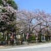 稲毛神社|川崎区