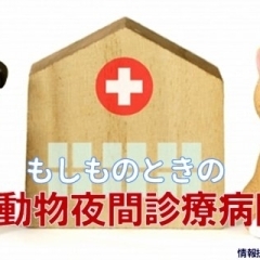 【最新版】小動物夜間診療病院のご案内(愛媛県)