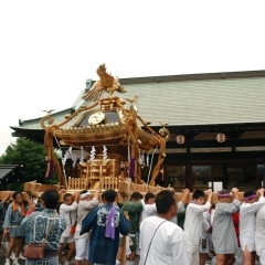 巨大神輿にまちが沸く！！　有馬神明神社例大祭