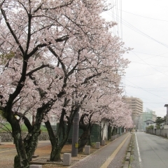 蔵本公園 むつみパーク蔵本
