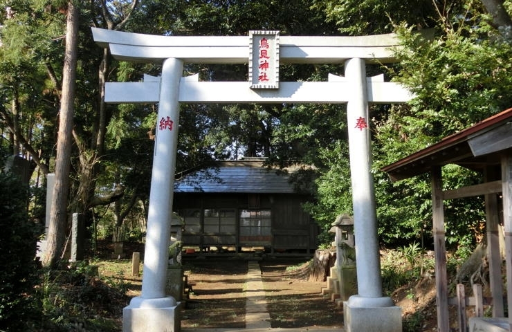 平塚鳥見神社