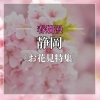 【静岡】春爛漫!お花見特集!
