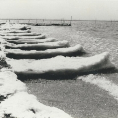 昭和59年2月10日天王崎の結氷