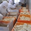 【正社員】オオタ食品工業株式会社