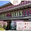 【笠間】第116回笠間の菊まつり ~日本最古の菊の祭典~【イベント】