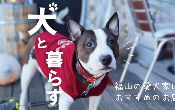 【犬と暮らす】福山の愛犬家におすすめのお店特集