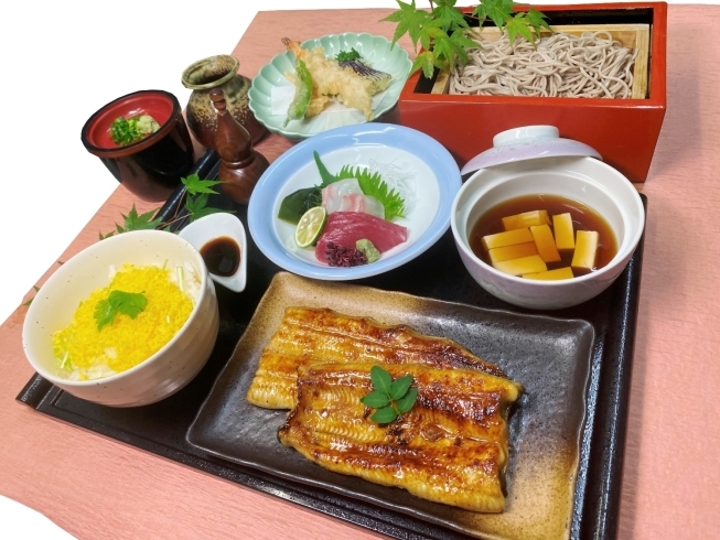 夏季限定御膳　大江戸御膳「夏季限定で人気の「蕎麦」が3年ぶりに復活しました！新緑を眺めながら暑気払いに」