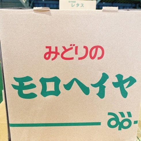 「夏野菜の宮城県産「モロヘイヤ」が入荷していますよ～♬」