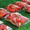 いちごの直売・いちご狩り