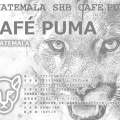 カフェ ピューマ｜グアテマラ