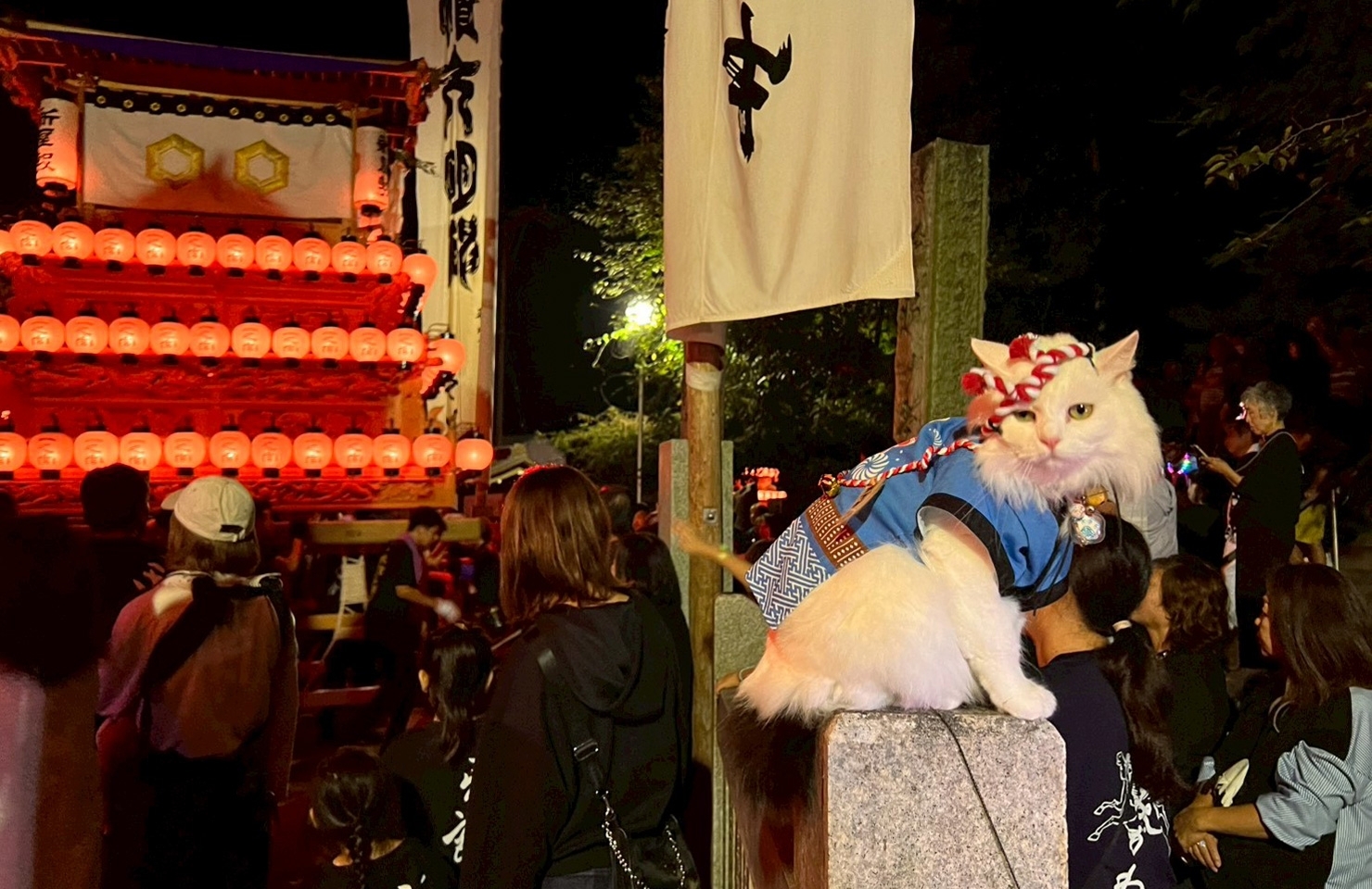 2025年10月17日(金)撮影|いよ小松まつり(小松地区)