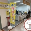 Vol.8 【大口町・扶桑町・江南市】地域の猫を救うボランティア 団体『ねこさと~nyamuzu company』
