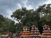 2023年10月15日撮影|伊曽乃神社祭礼・境内宮出し