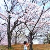 柏の葉公園