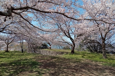 鳥取県米子市　湊山公園