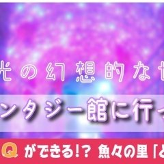 貝と光の幻想的な世界へ（おまけ編）