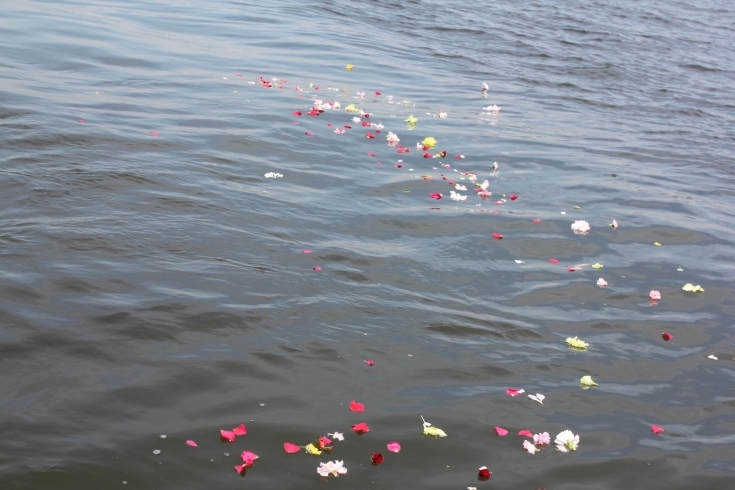 お花でのお別れ「(株)セレブ　海洋散骨　【船橋市での素敵な葬儀式場「ここだけの家族葬ホール」】」