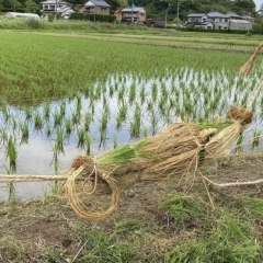 蔵川地区の奇祭！　ナーバ流し