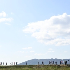 とくしまマラソン2024　42.195kmのコースへ挑戦。