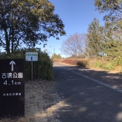 【4kmコース】景色◎雰囲気◎足元は石畳の凹凸に注意!「さきたま緑道」