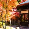 【紅葉スポット】 下諏訪町 慈雲寺(じうんじ)