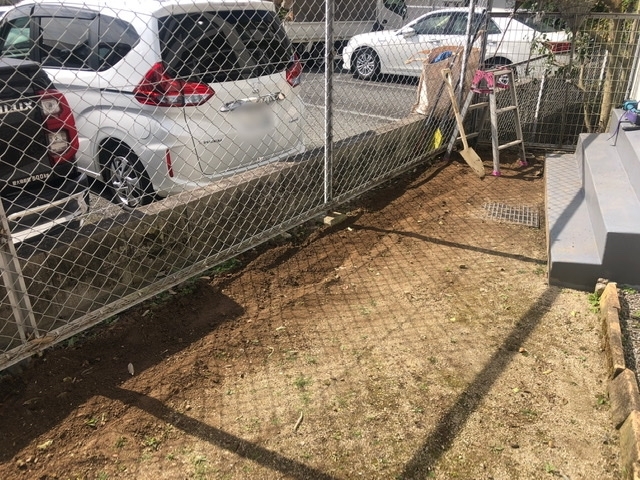 【作業中】シラカシの抜根「【植栽工事】川西市でレイランディの生垣を作りました！」