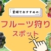 【最新版】愛媛のフルーツ狩りスポットをご紹介します!