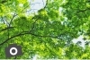 編集部のつぶやき