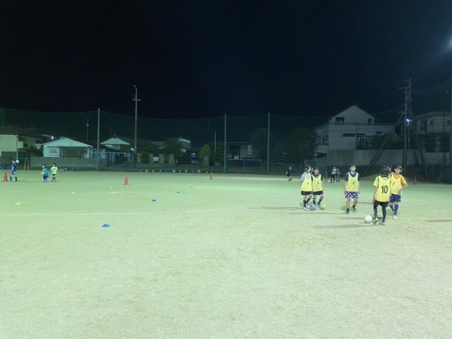 「やっと練習再開！　四国中央市で唯一の女子サッカーチーム」