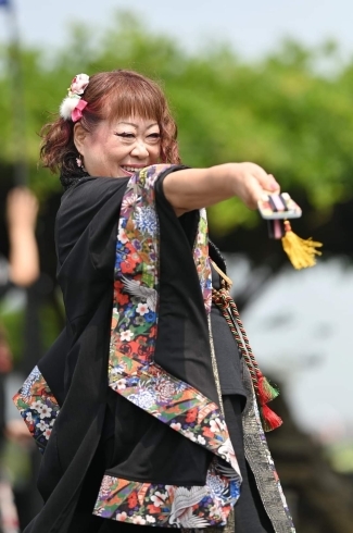 真壁桜乃舞代表のまりちゃん(*^^*)「毎日暑いですね6月佐原あやめパークでよさこいありました( *´艸)」