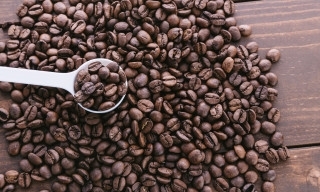 「津田沼駅南口  モリシアの珈琲豆専門店【グリーン珈琲焙煎所】新鮮・高品質なコーヒー豆はいかがでしょうか？エルサルバドルのコーヒーお試しください。店内で焙煎してご用意します。」