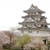 墨俣一夜城・犀川堤の桜 (すのまたいちやじょう・さいがわつつみのさくら)