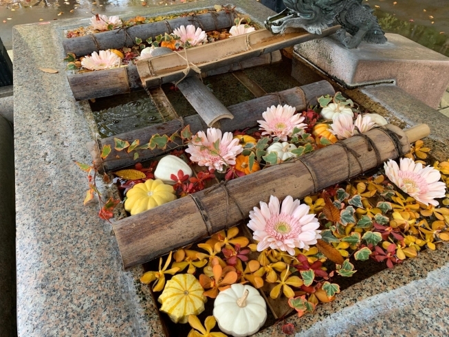 「今しか見れない！金峯神社の秋を感じる「花手水（はなちょうず）」。」
