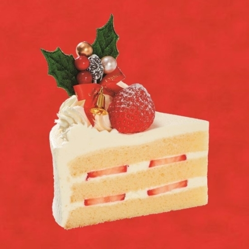 クリスマス生デコレーション（断面）「【Merry Christmas🎄】明日まで数量限定販売！オランダ家の2種類のクリスマスケーキを店頭にてお買い求めいただけます♩」