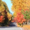【紅葉スポット】蓼科/横谷峡 横谷観音(駐車場)