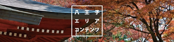 八王子エリアコンテンツ