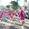 【新座市】第8回大江戸新座祭りに行ってきました!