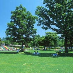 芽室公園