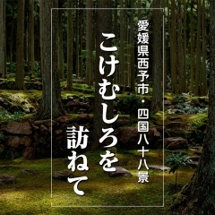 【愛媛県西予市】こけむしろを訪ねて