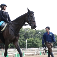 伊奈町の子連れで遊べるスポットまとめ