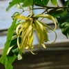 晩秋の薬用植物園をご紹介します!