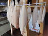 「📣本日のお魚情報🐟」