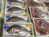 「魚魚市場鮮魚コーナーおすすめは「カツオ」です♪」