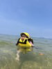「海遊び🏖️」