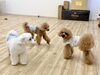 さんにんじゃれっこ中のひと息「ましゅまろ幼稚園🐾パート３」