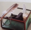 「6月のお稽古🍵」