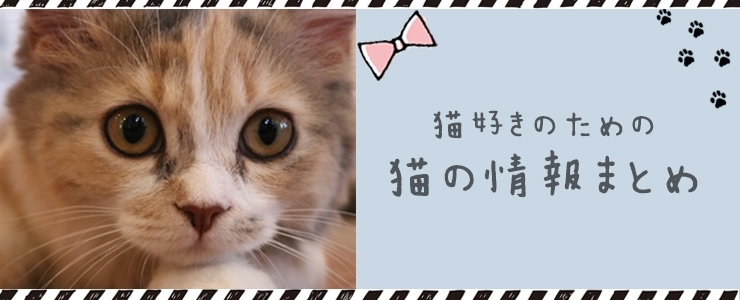 猫情報まとめ まいぷれ 佐世保 猫情報まとめ まいぷれ 佐世保