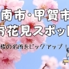 湖南・甲賀市の桜特集～お花見するならココ！～