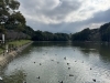 2024年11月11日の様子「【新居浜市滝の宮町】滝の宮公園の紅葉速報！」